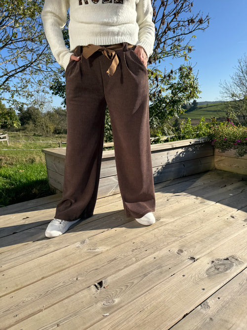 Pantalons en velours marron